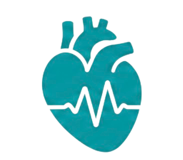 Cardiovascular
